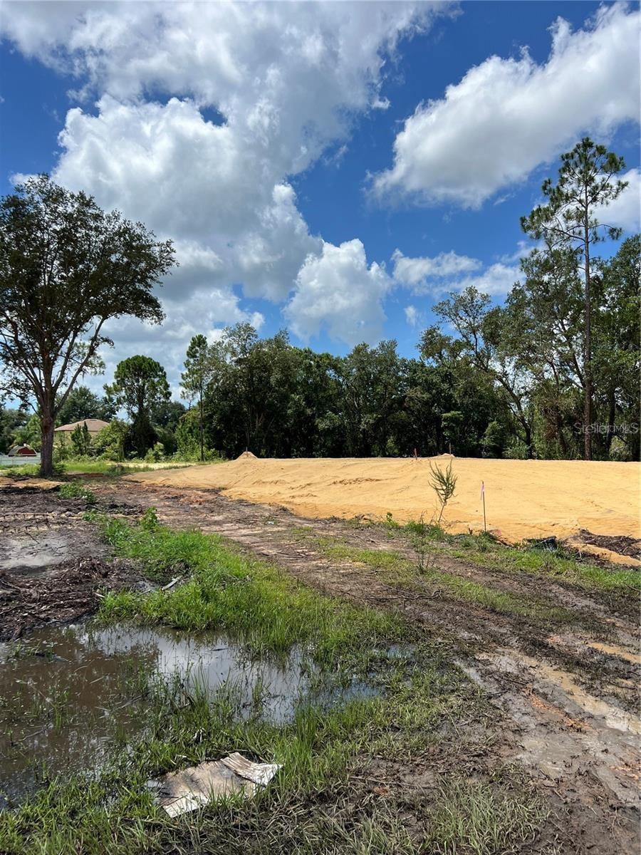 210 Spoonbill Drive, FL