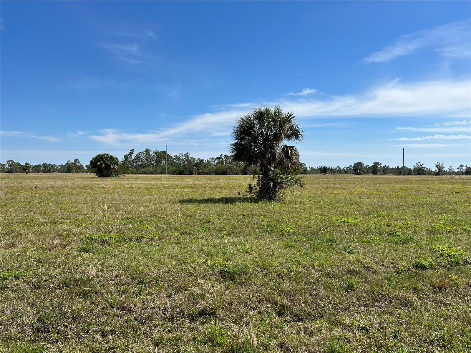 12360 Greenling Way, FL