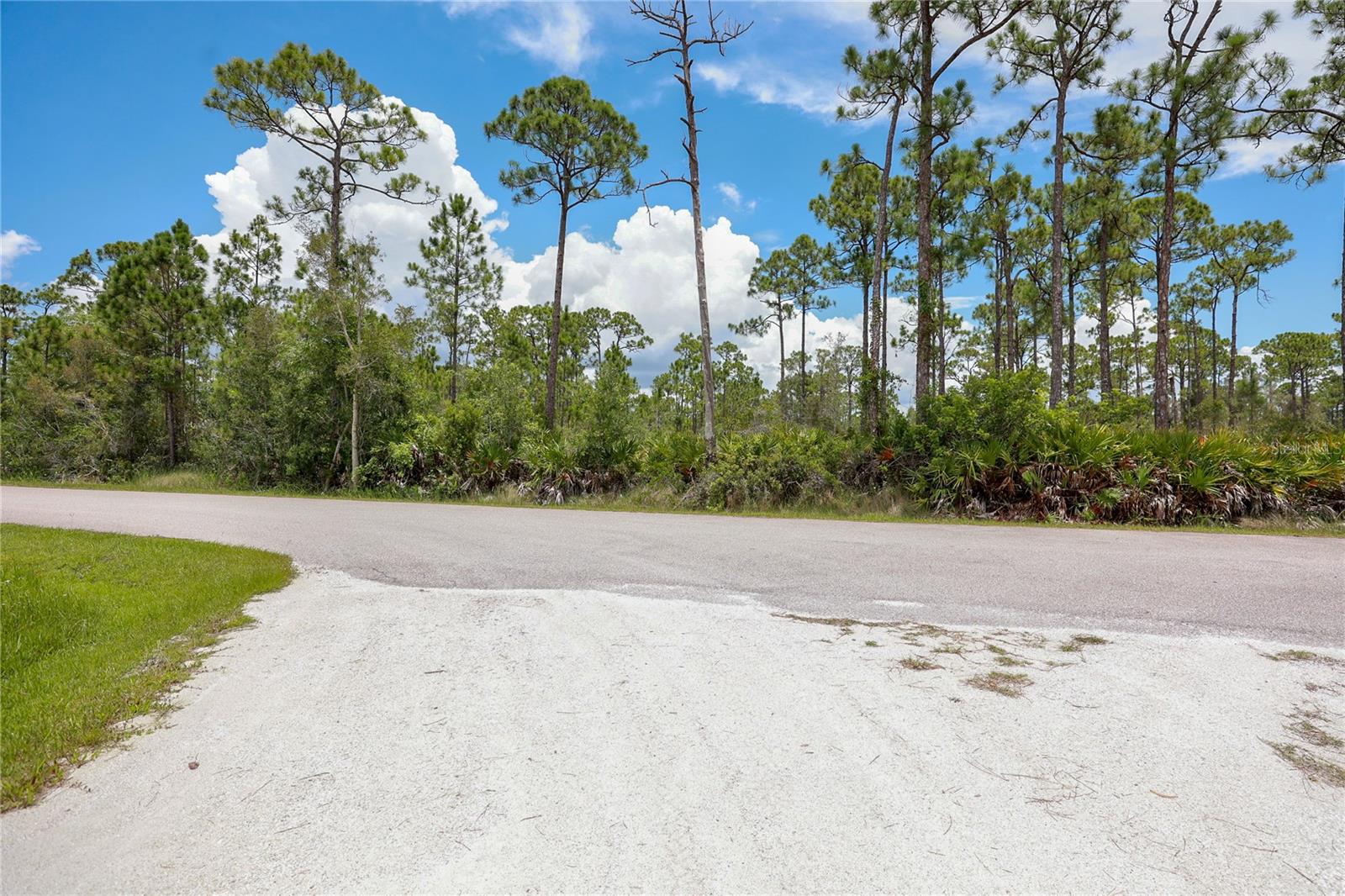 28364 Plato Drive, FL