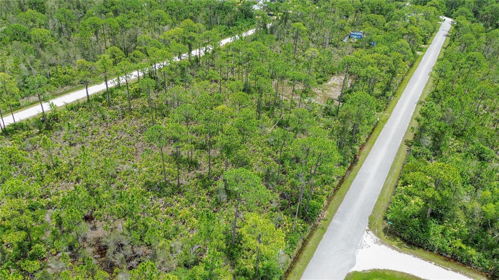 28364 Plato Drive, FL