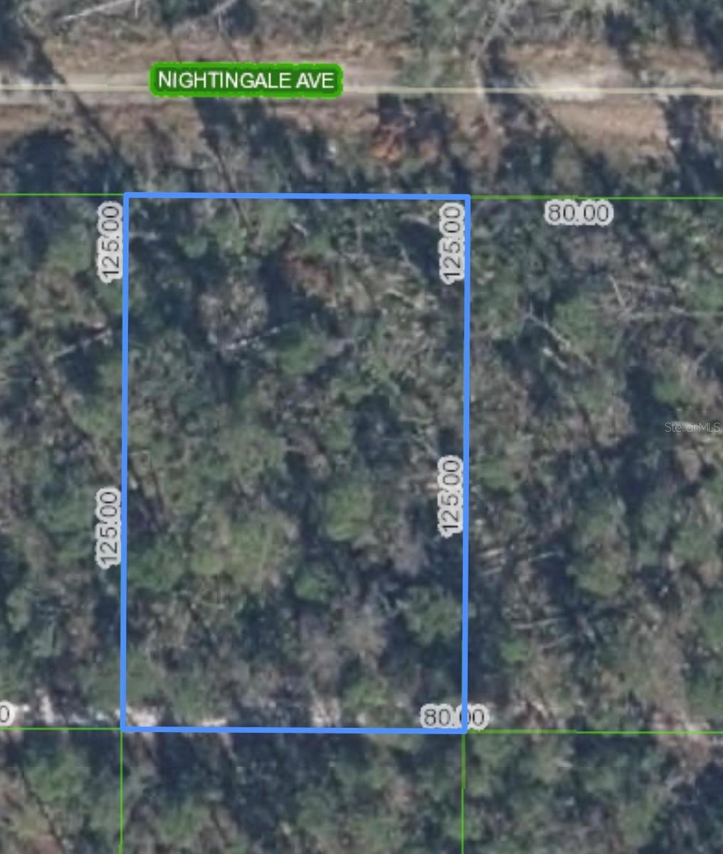 455 Nightingale Avenue, FL