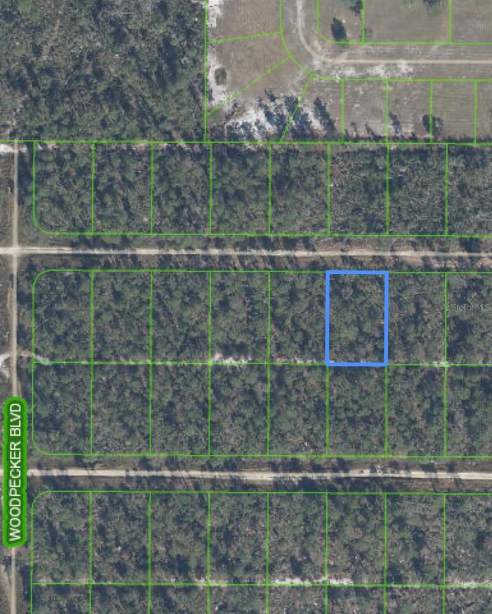 455 Nightingale Avenue, FL