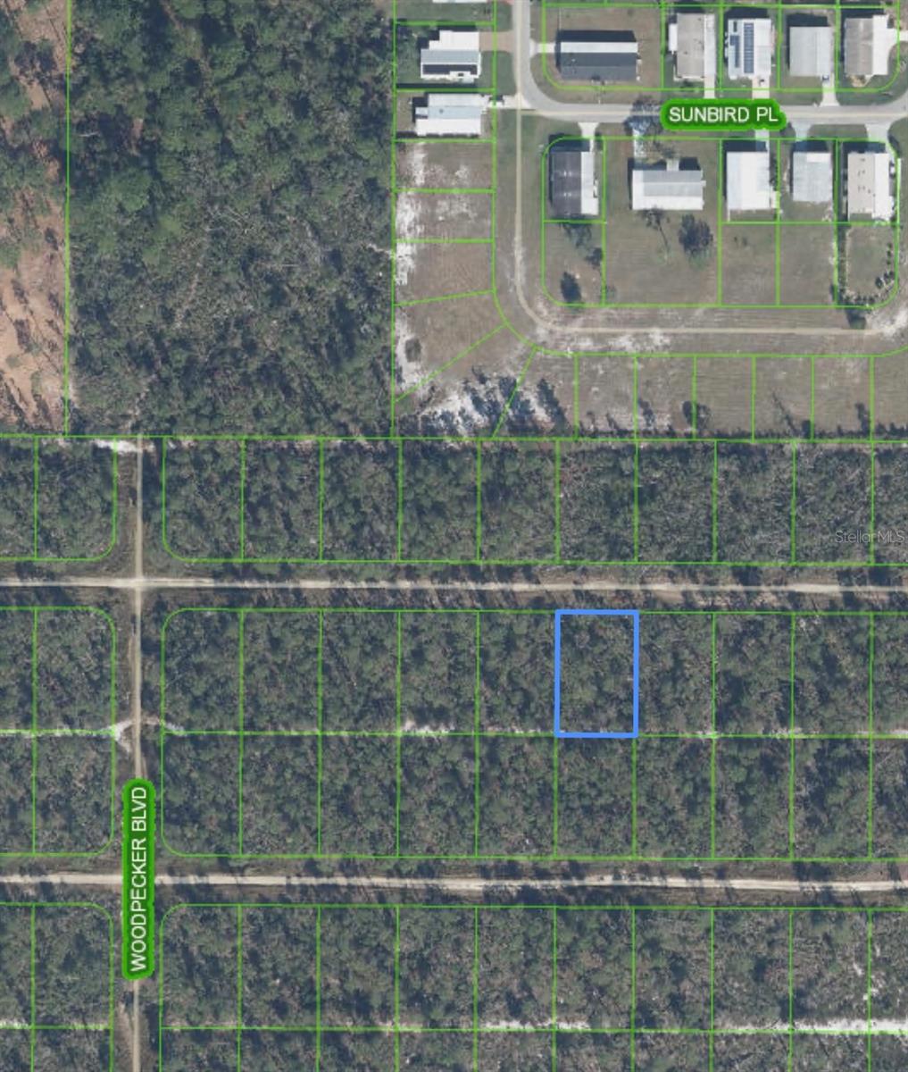 455 Nightingale Avenue, FL