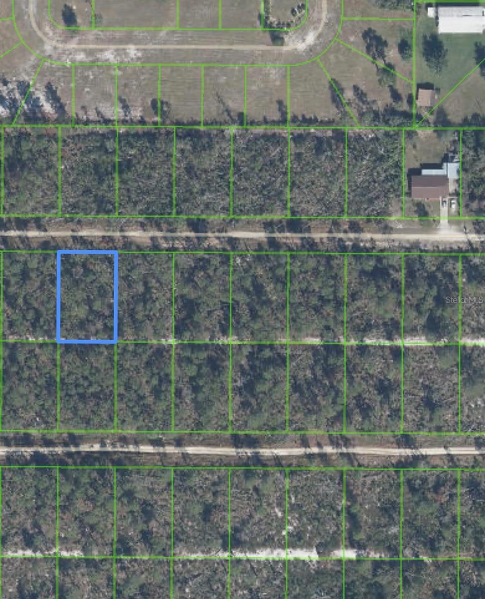 455 Nightingale Avenue, FL