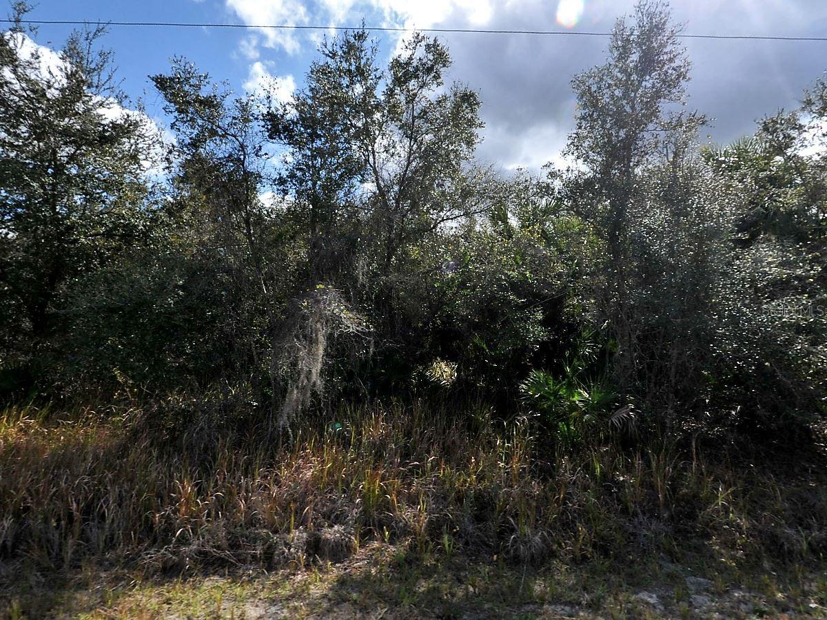 Lot 31 Casco Circle, FL