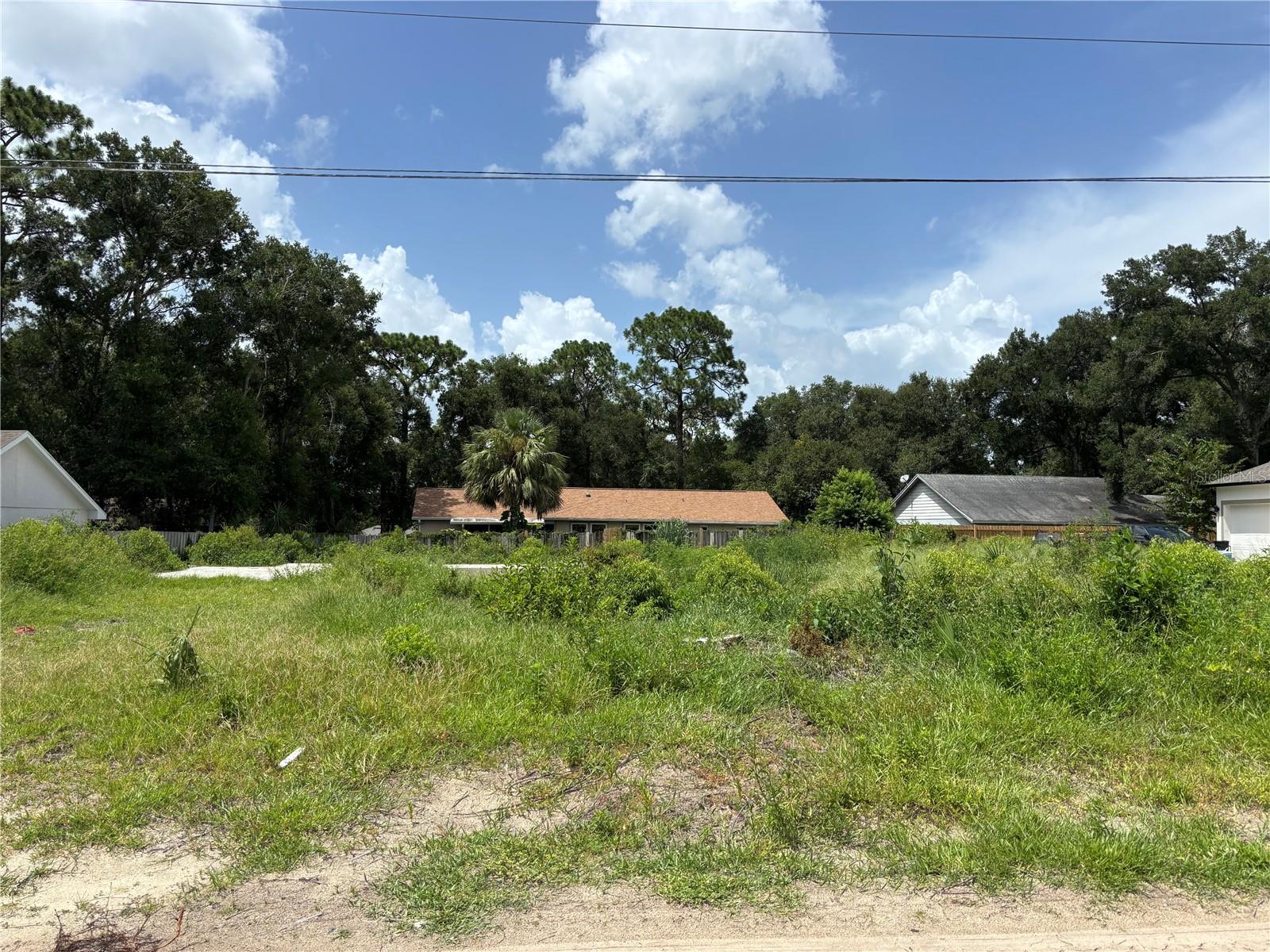 25815 Exmoor Drive, FL