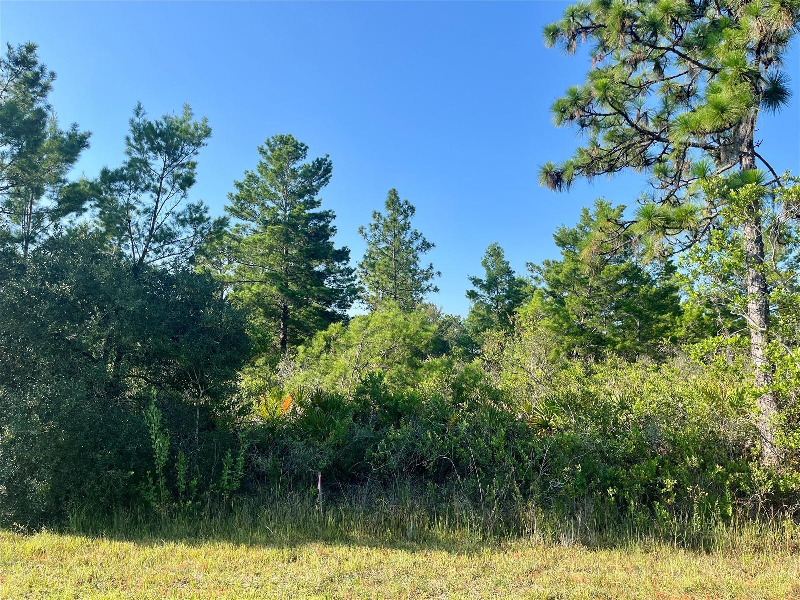 0000 Bougainville Drive, FL