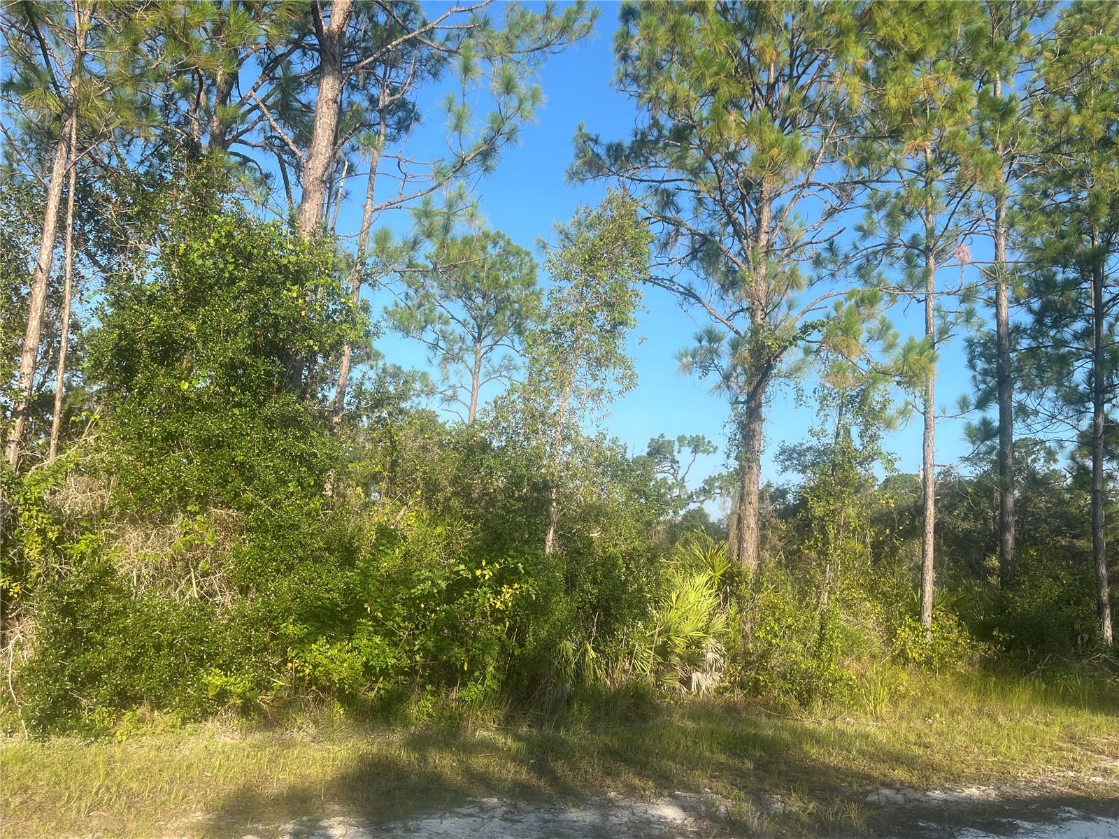 0000 Columbus Drive, FL