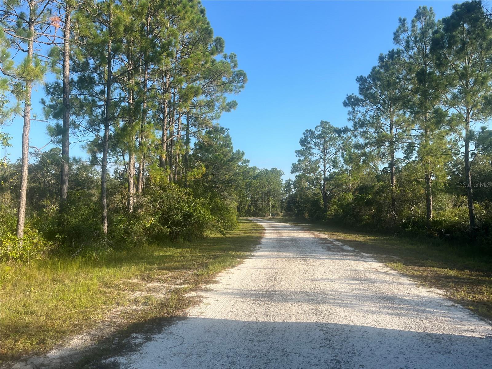 0000 Columbus Drive, FL