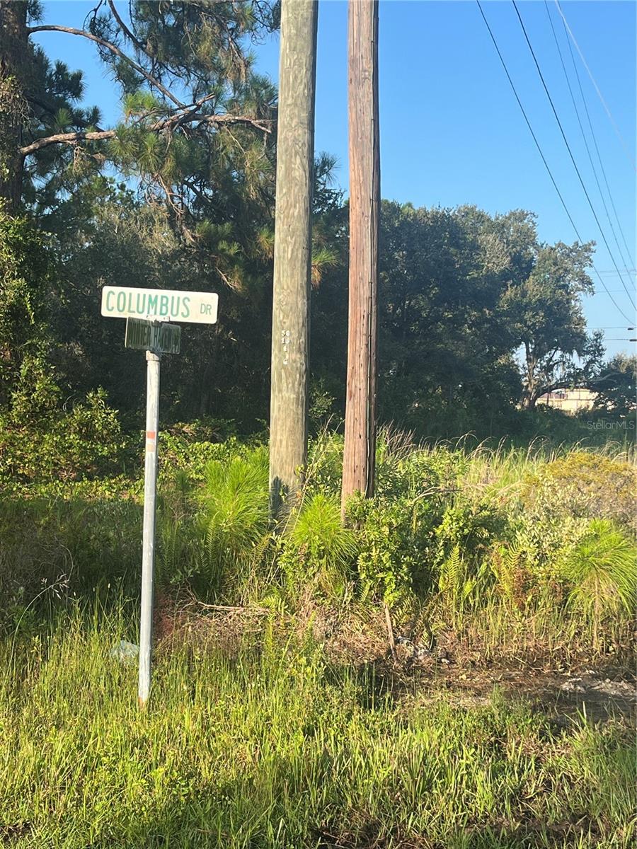 0000 Columbus Drive, FL