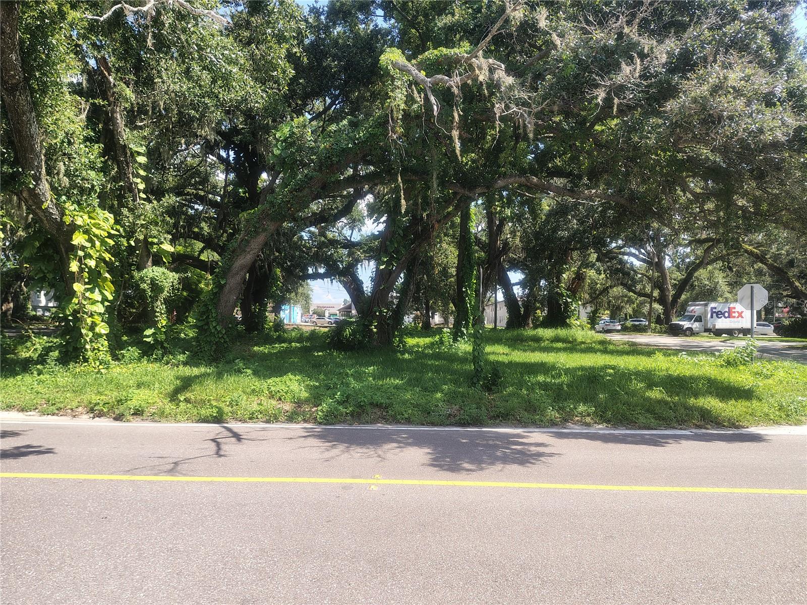 113 Robertson Street, FL