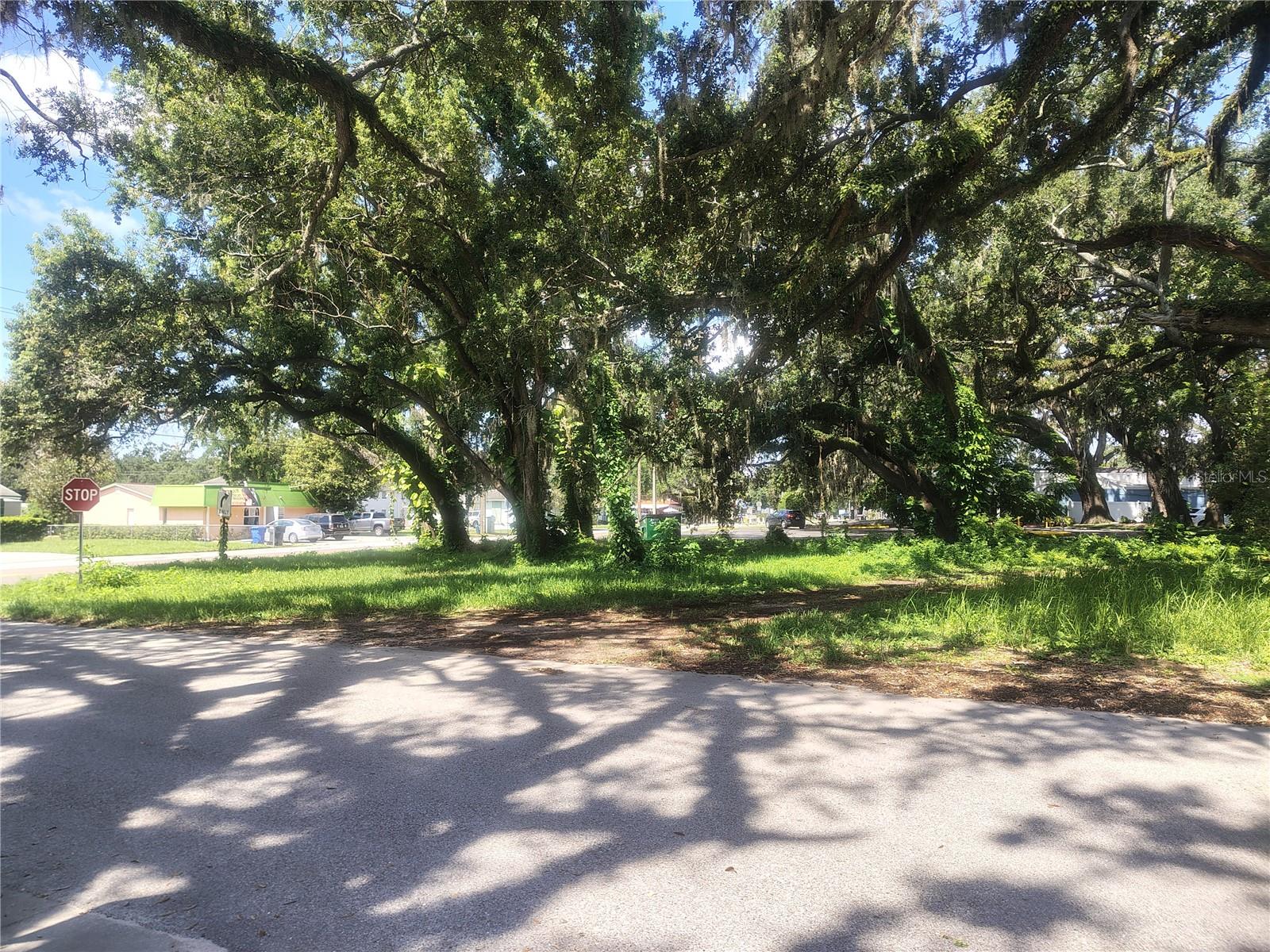 113 Robertson Street, FL
