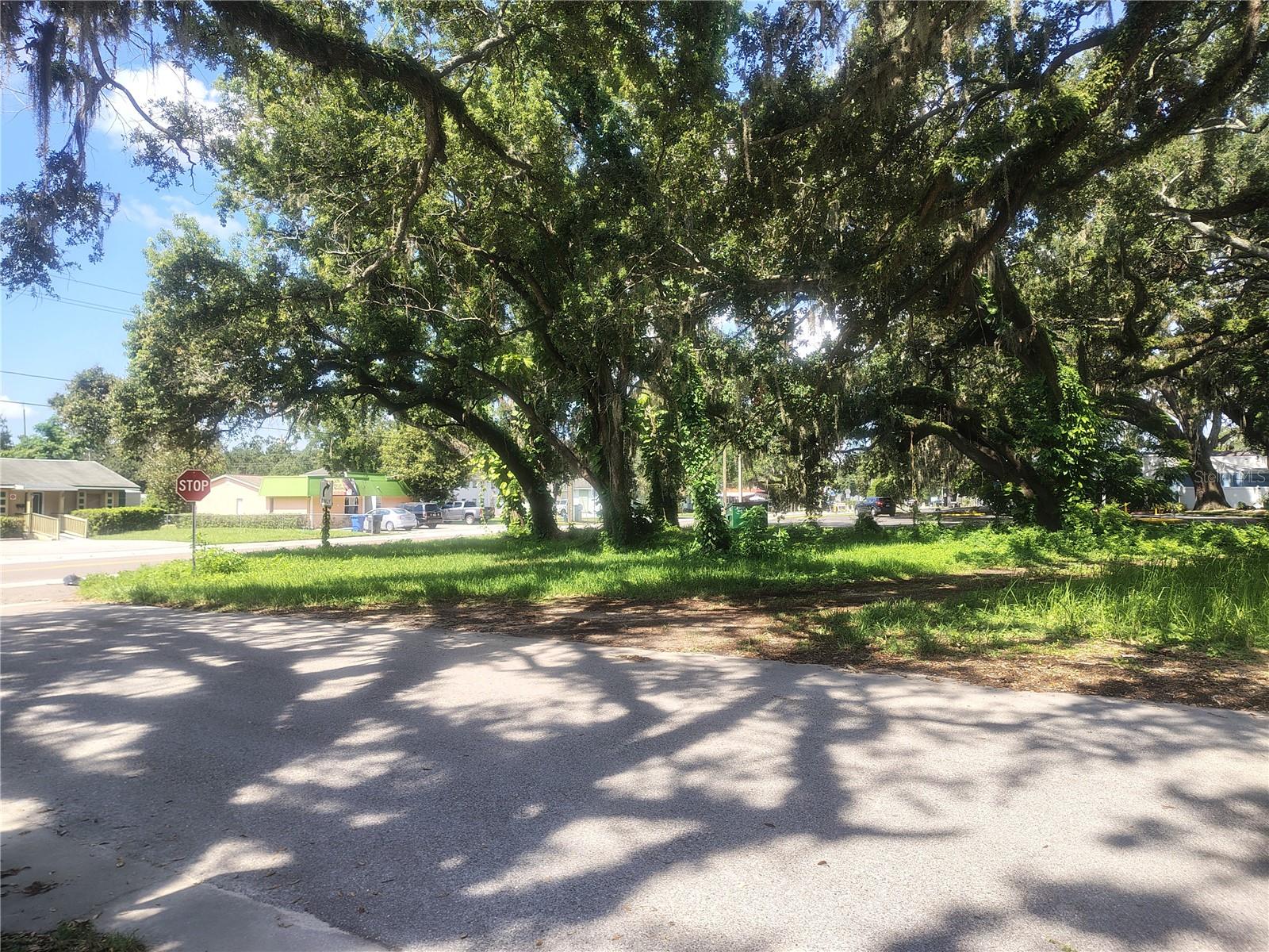 113 Robertson Street, FL