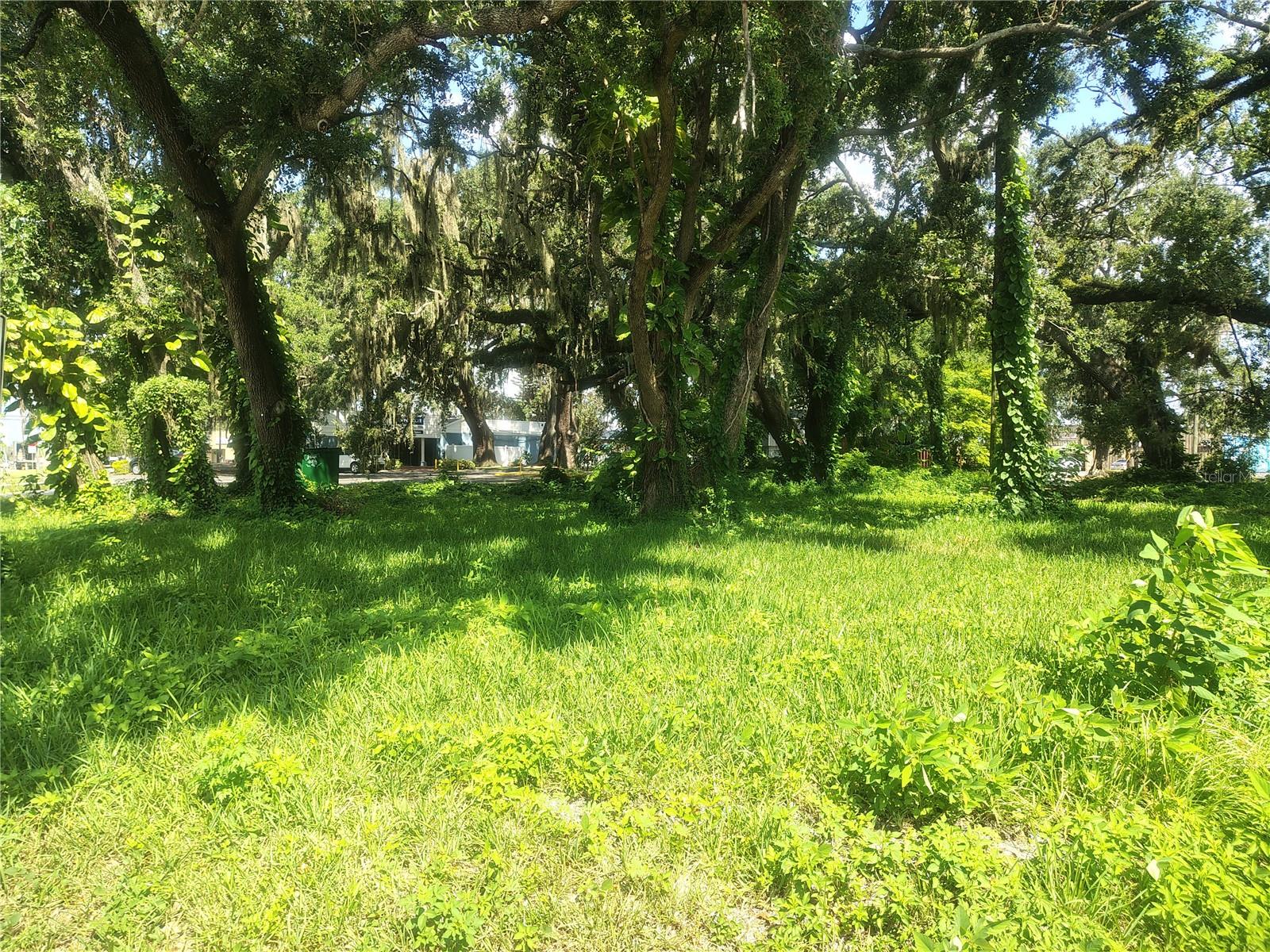 113 Robertson Street, FL