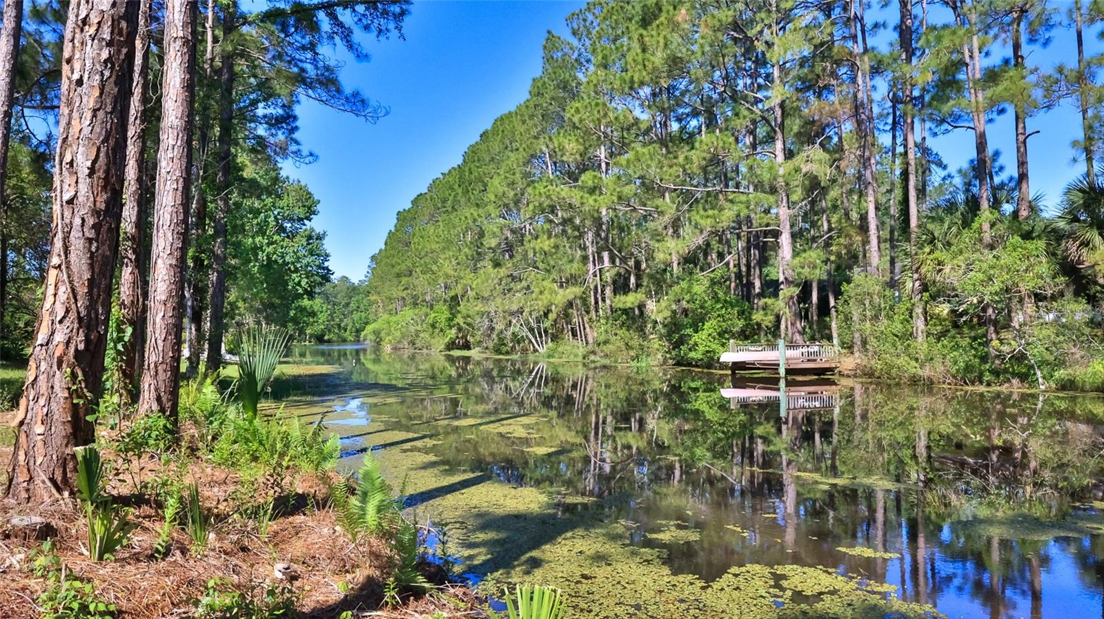 PALM COAST SEC 23 BLK 21 LOT 21, 32164