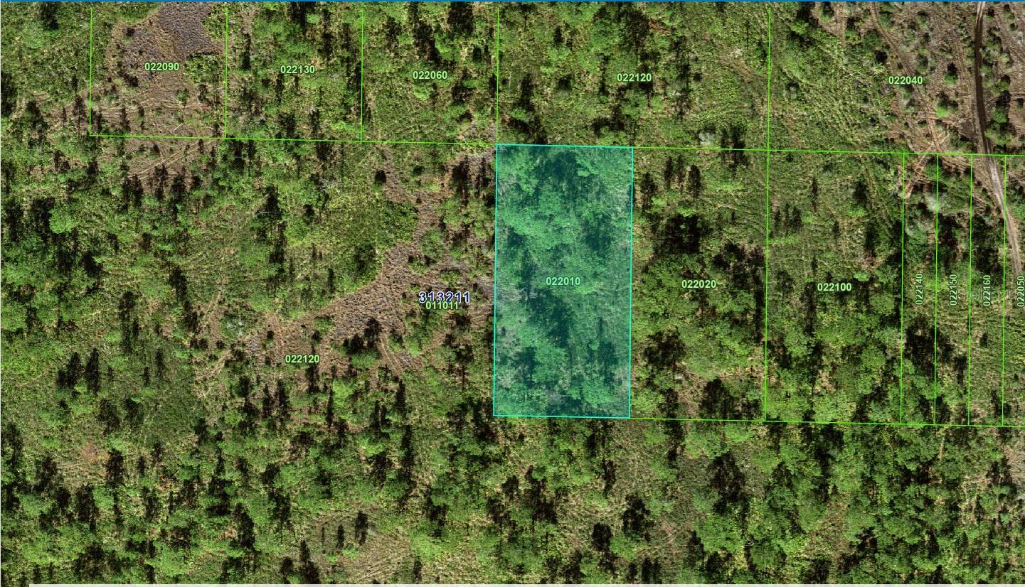 31-32-11-000000-022010 River Ranch Boulevard, FL