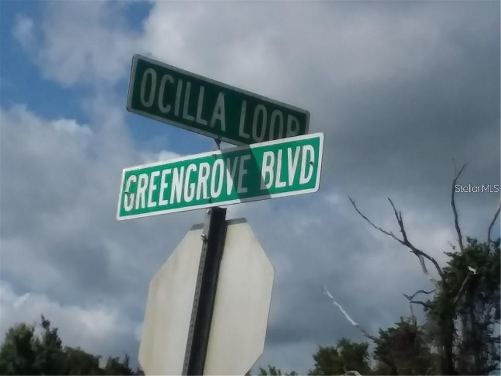 Greengrove Boulevard, FL