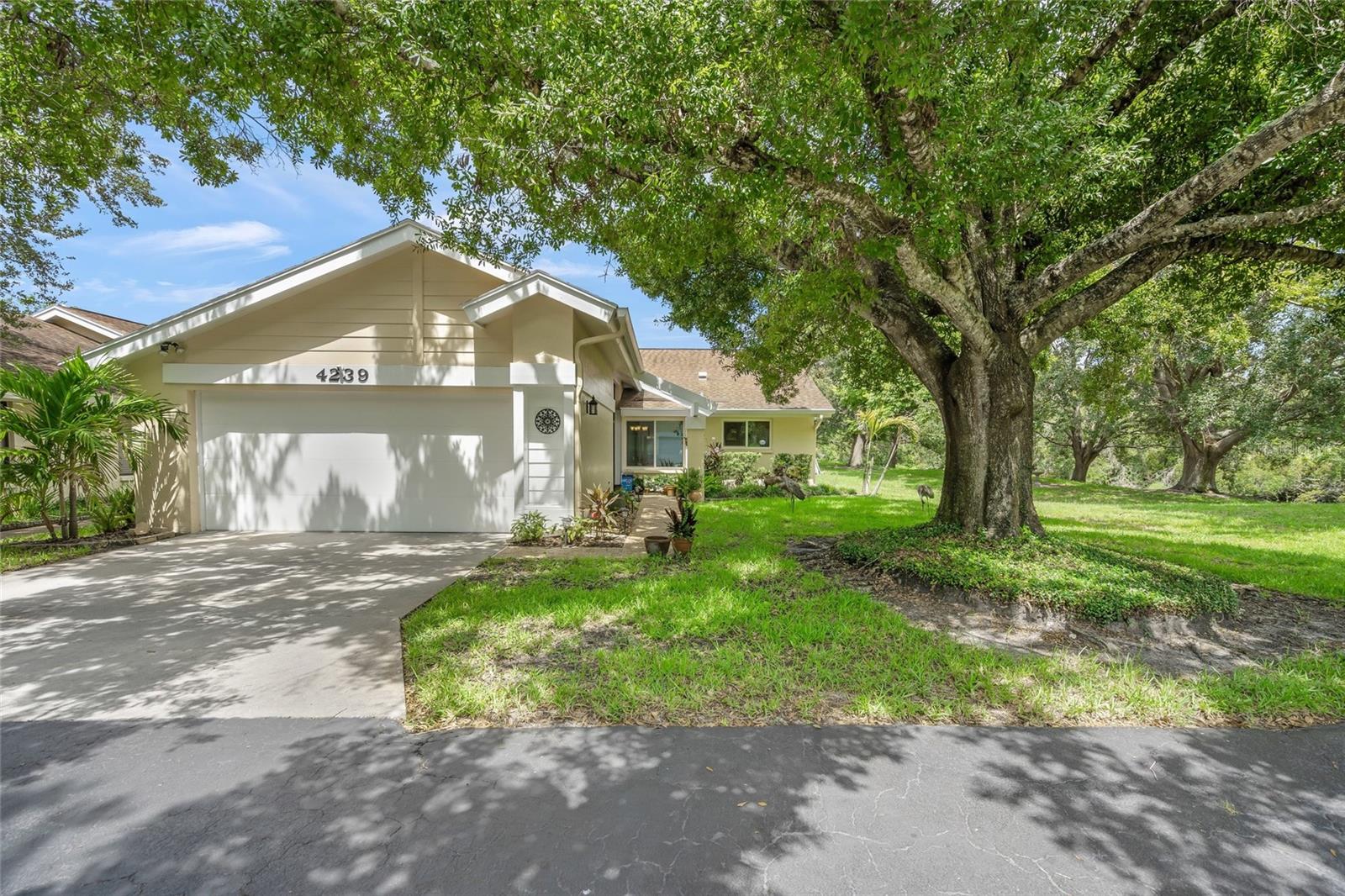 4239 Carriage Drive, FL