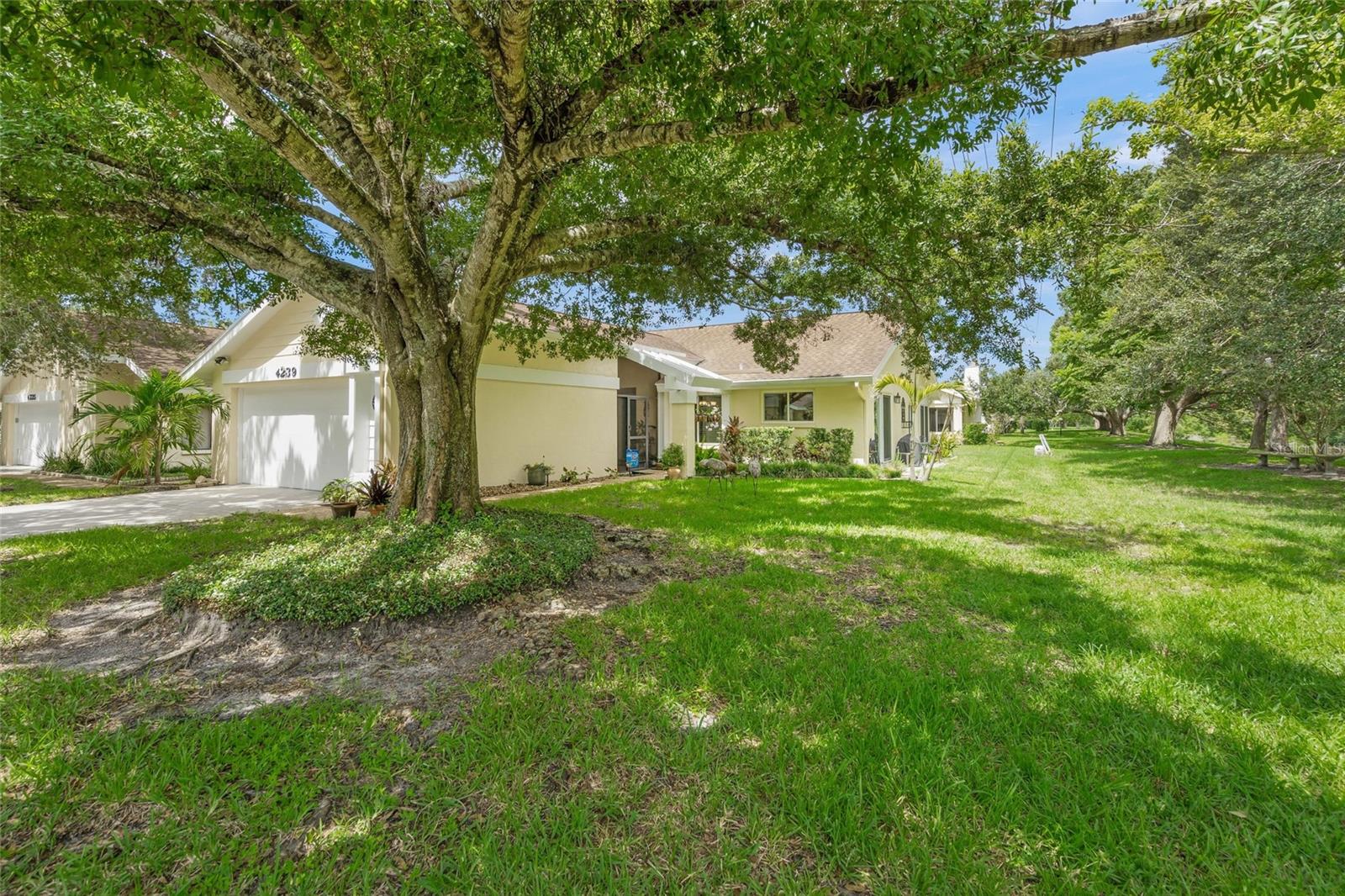 4239 Carriage Drive, FL