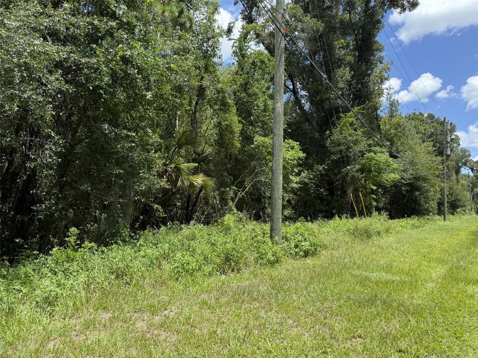 No Street, FL
