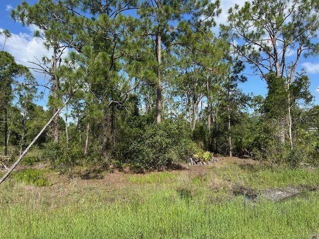 13036 Apache Drive, FL