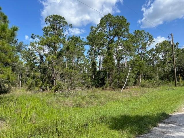 13042 Apache Drive, FL