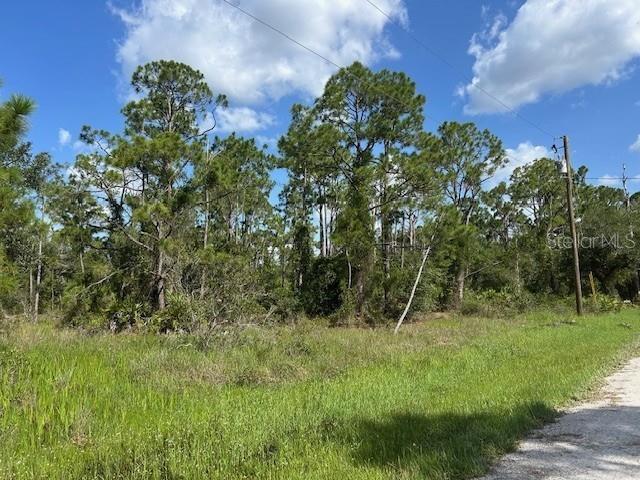 13042 Apache Drive, FL
