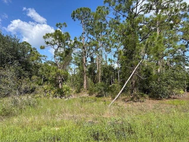 13042 Apache Drive, FL