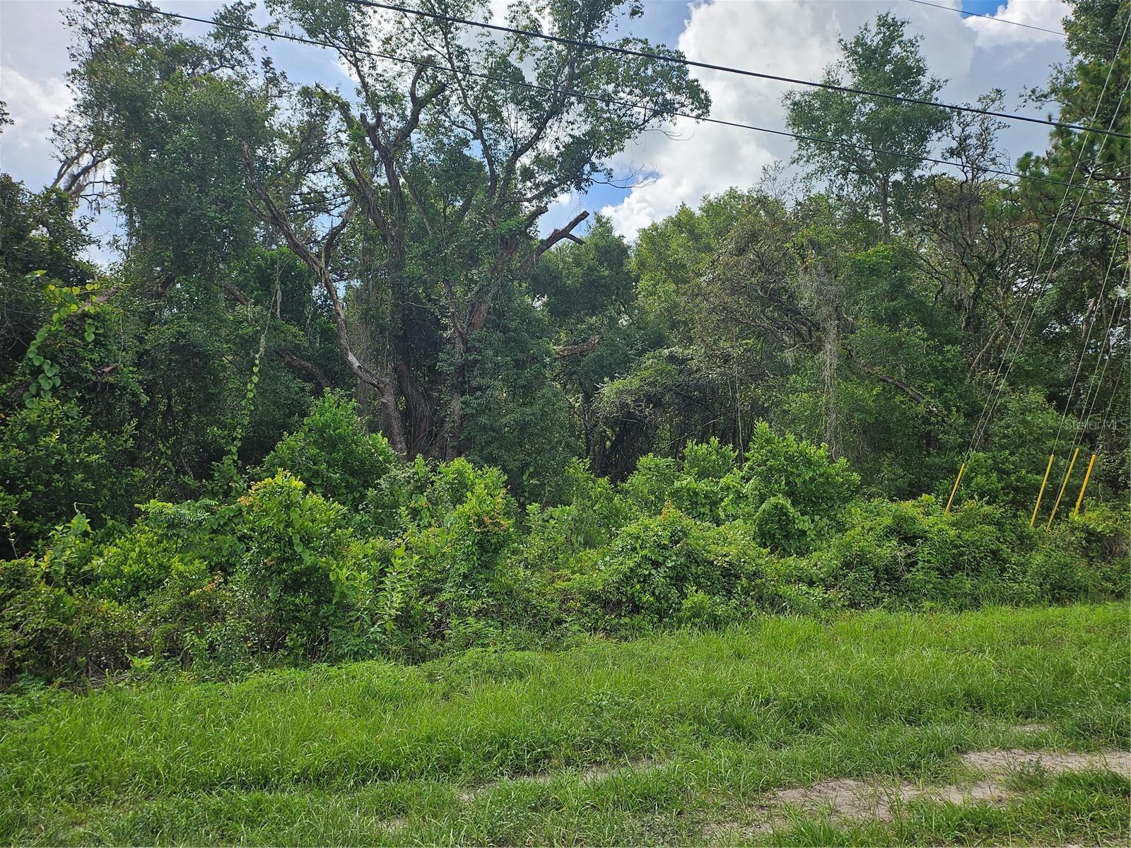 Us Highway 41, FL