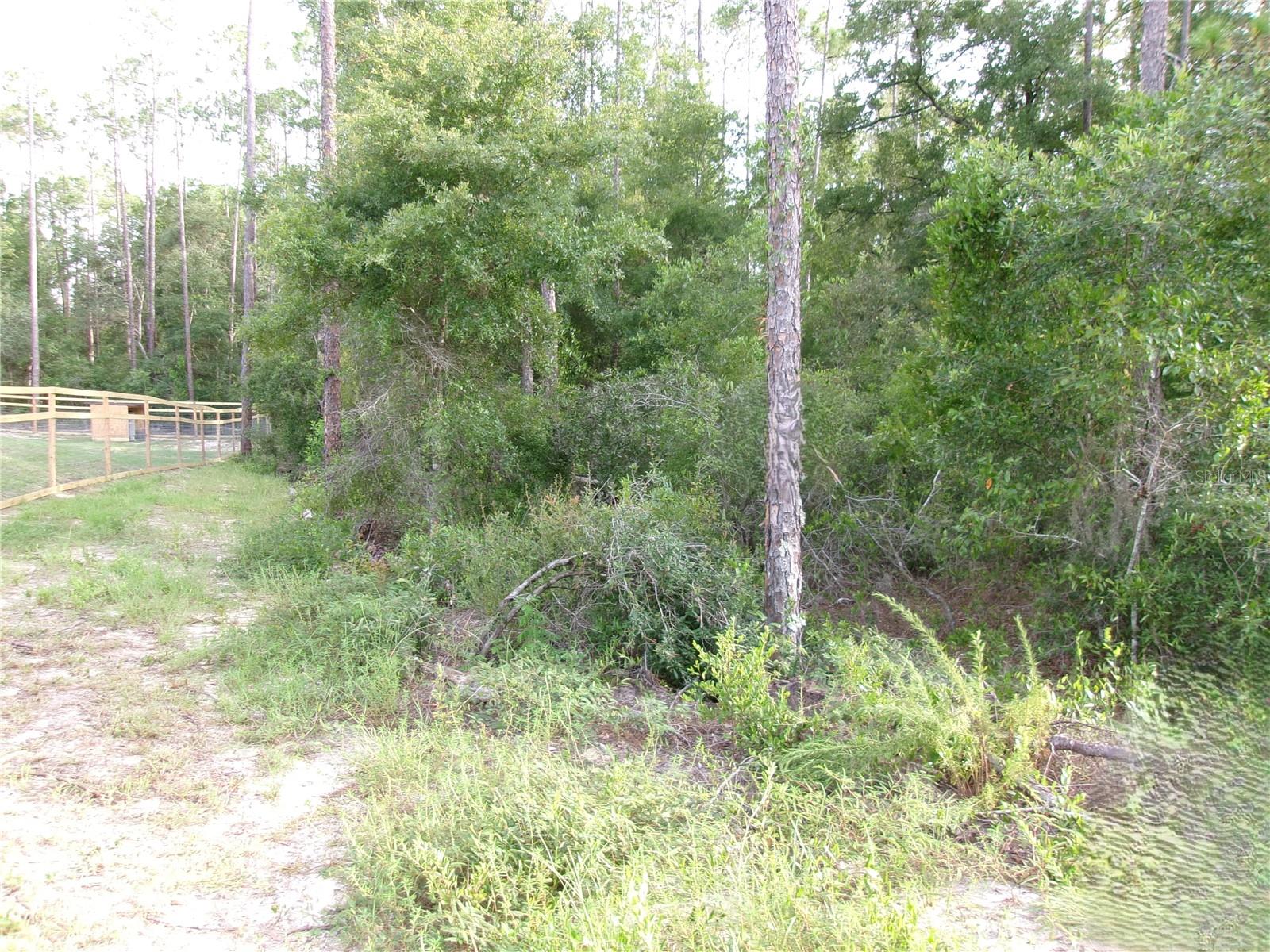 Lot 20 Rainbow Lakes Boulevard, FL