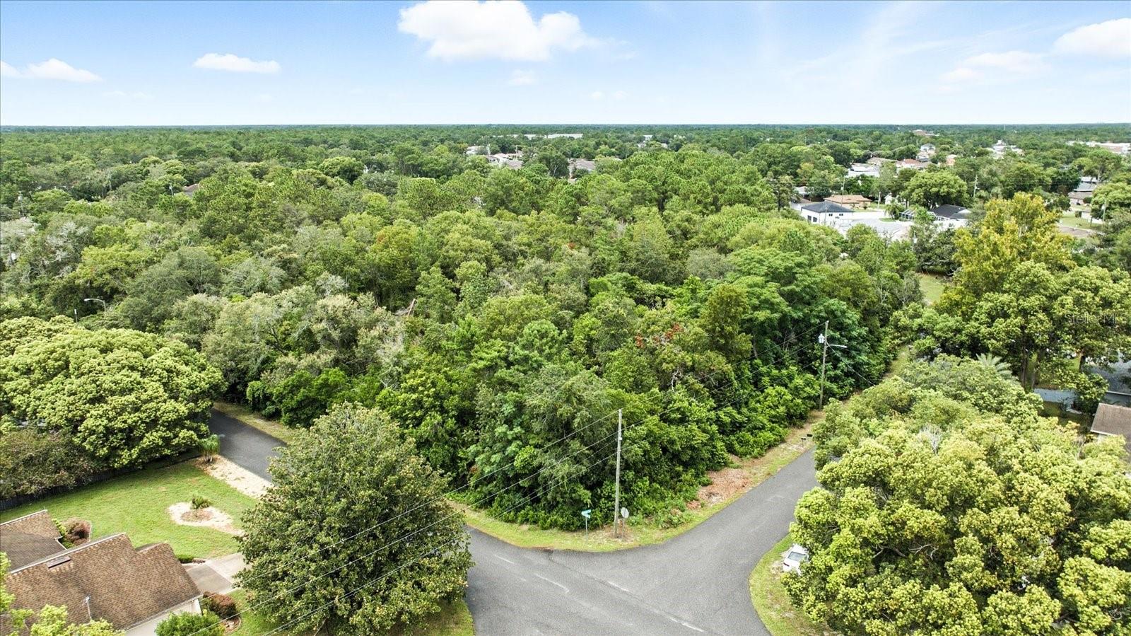 Linden Drive, FL