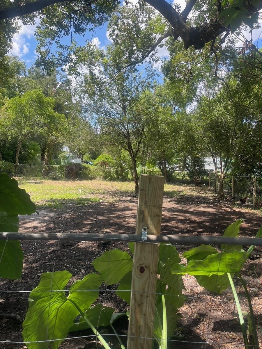 25 Mckinley Avenue, FL