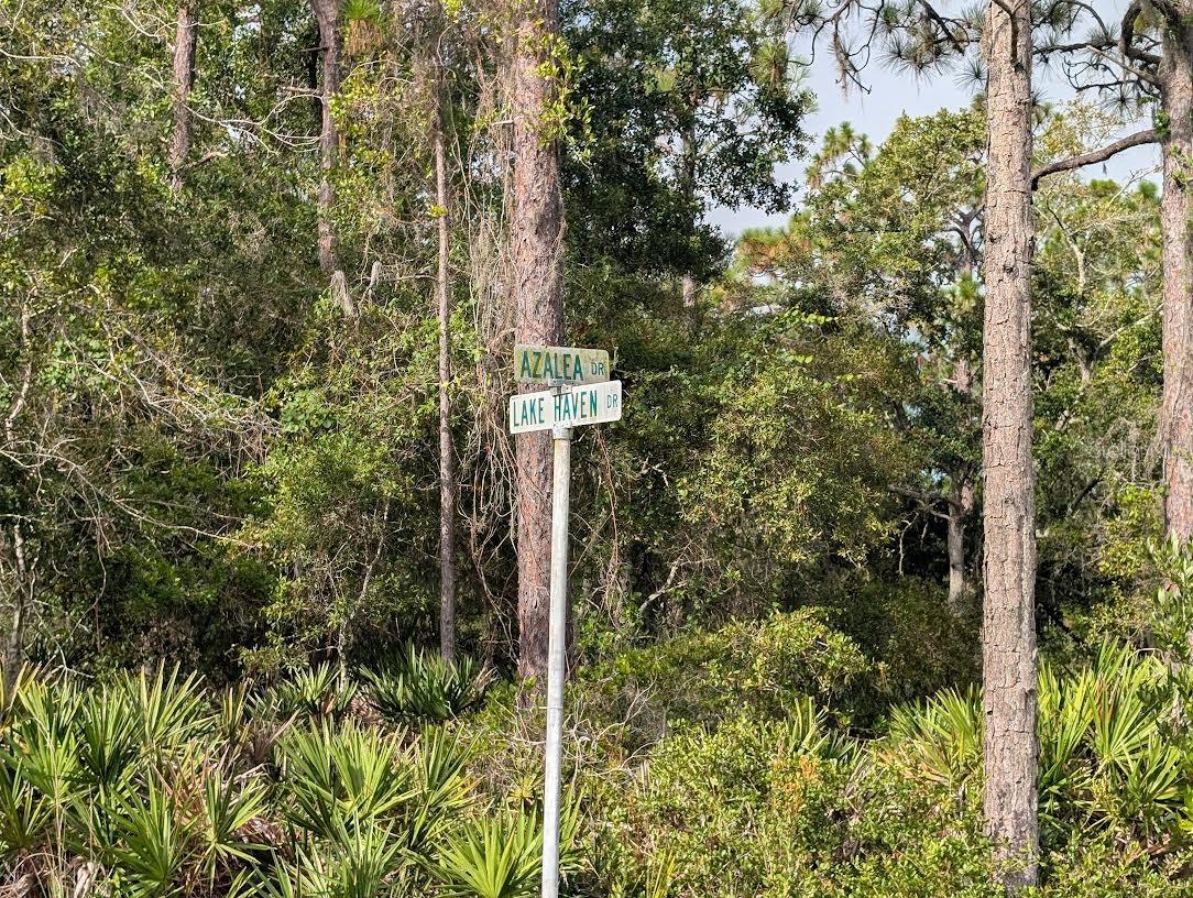 523 Azalea Drive, FL