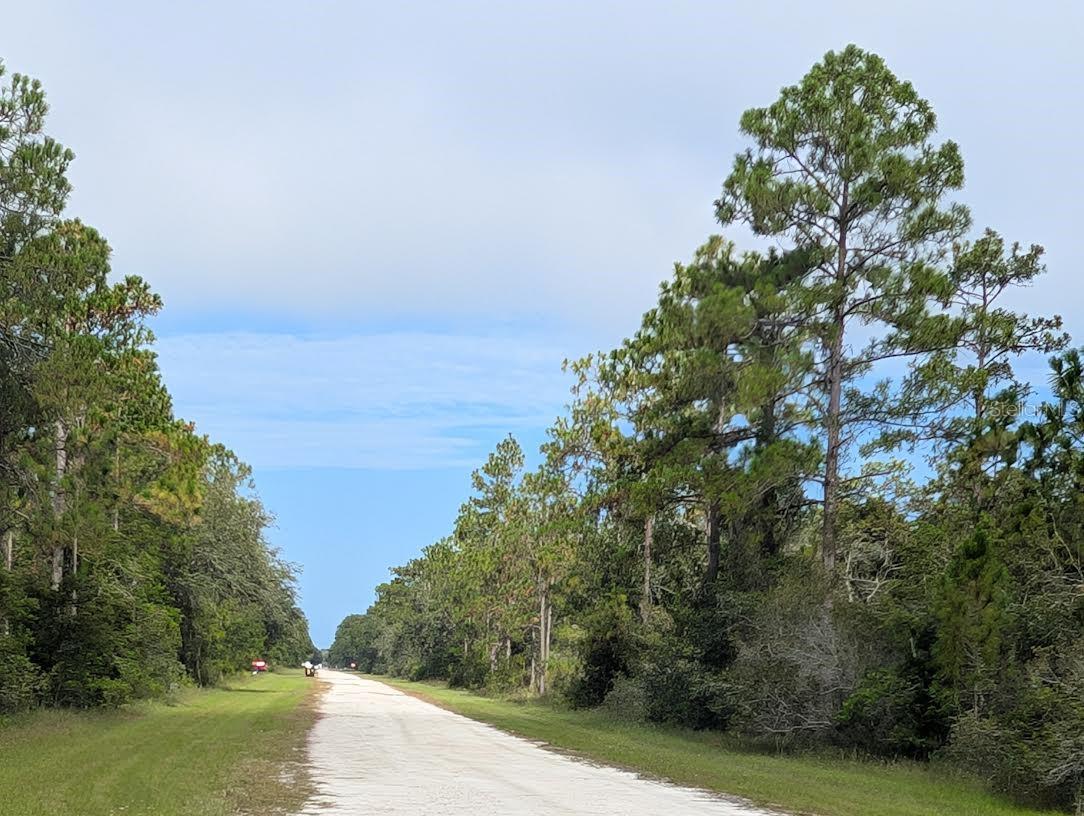 523 Azalea Drive, FL