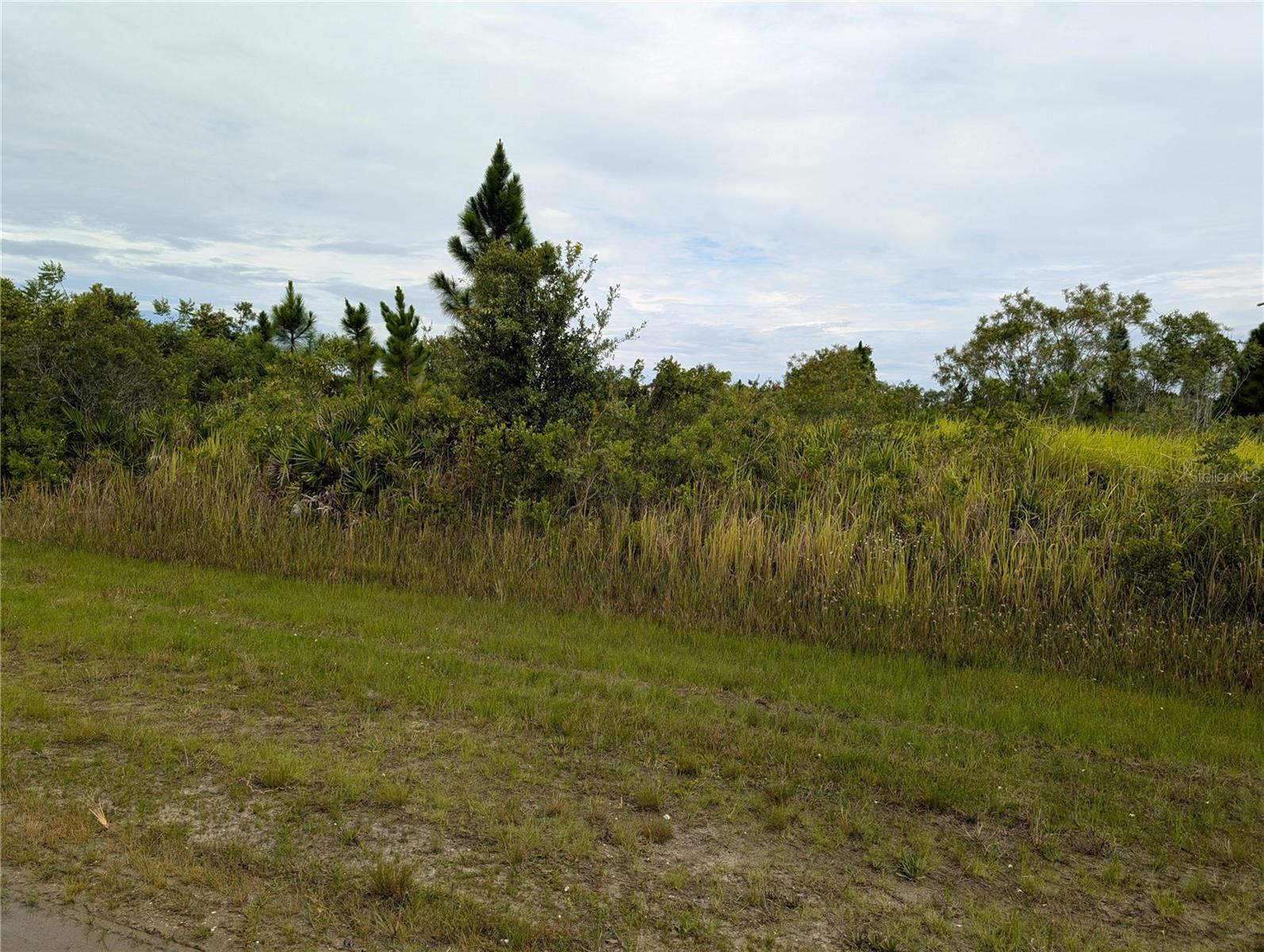 511 Calendula Drive, FL