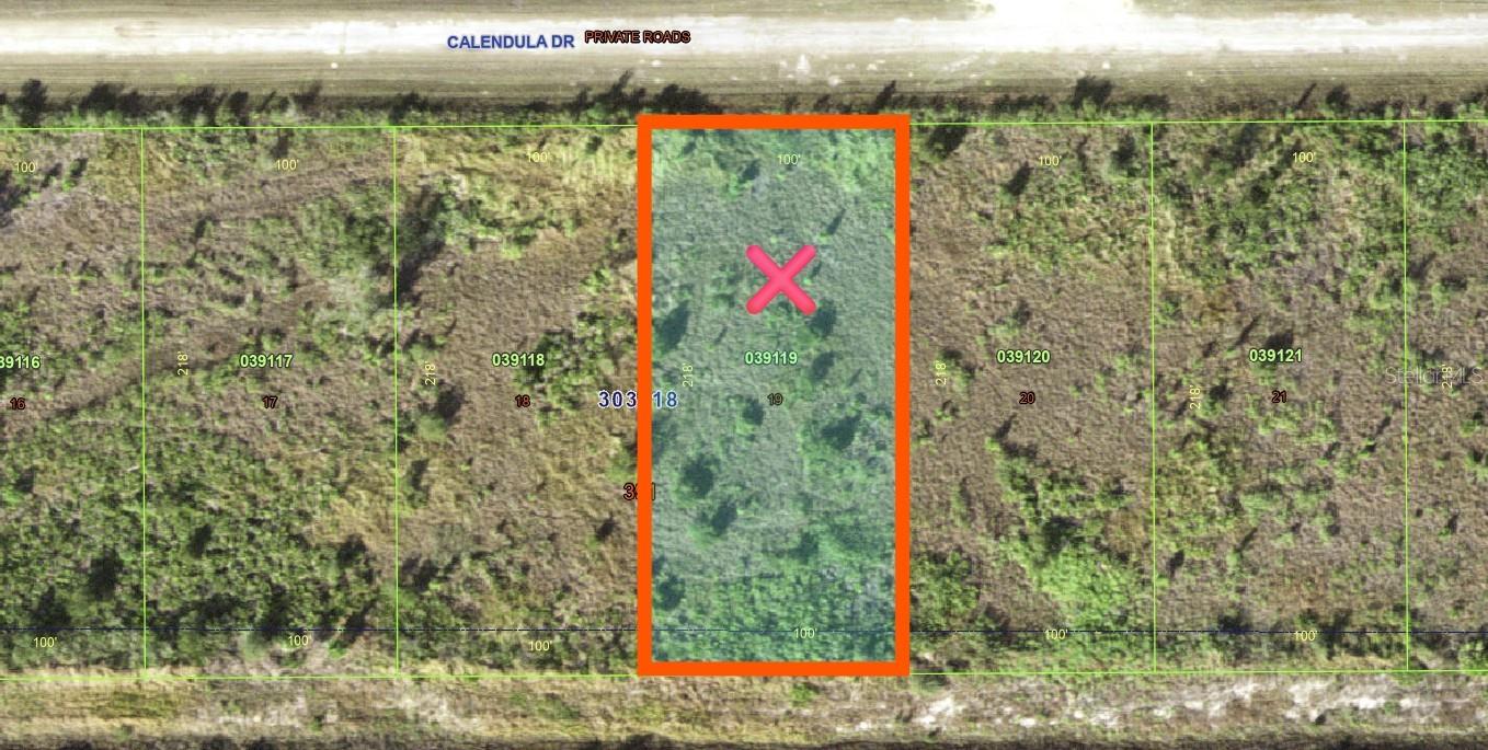 511 Calendula Drive, FL