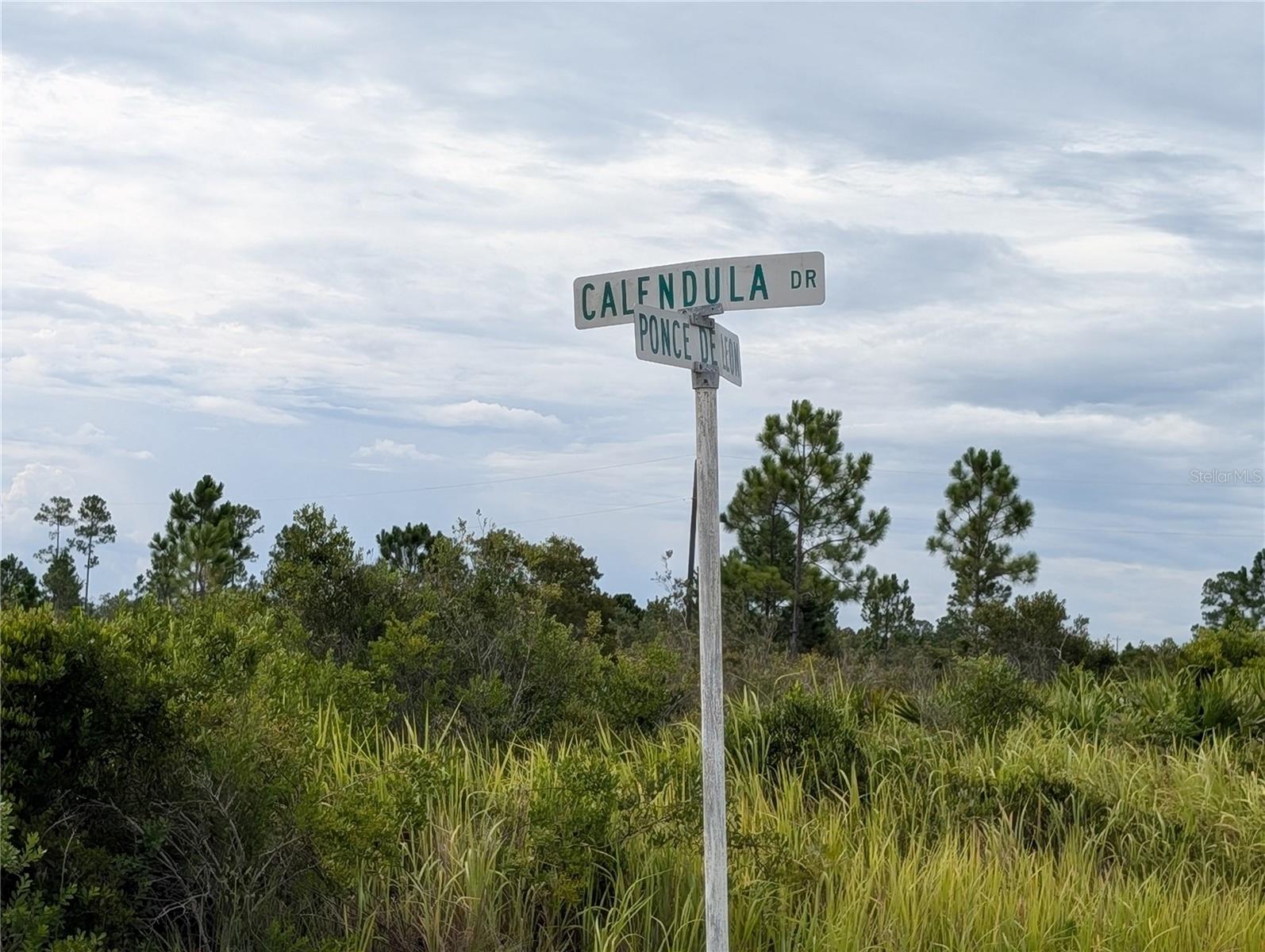 513 Calendula Drive, FL