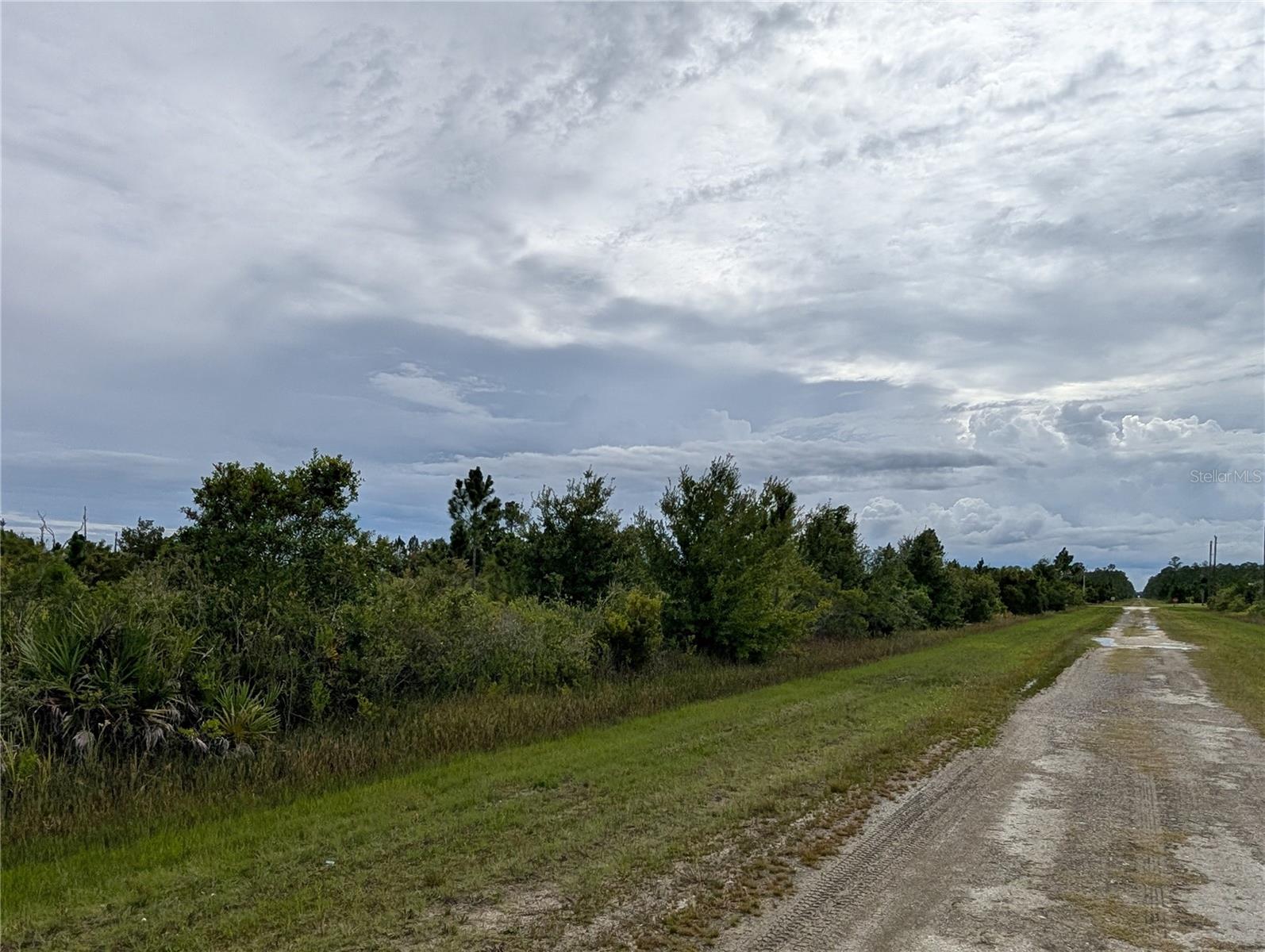 513 Calendula Drive, FL