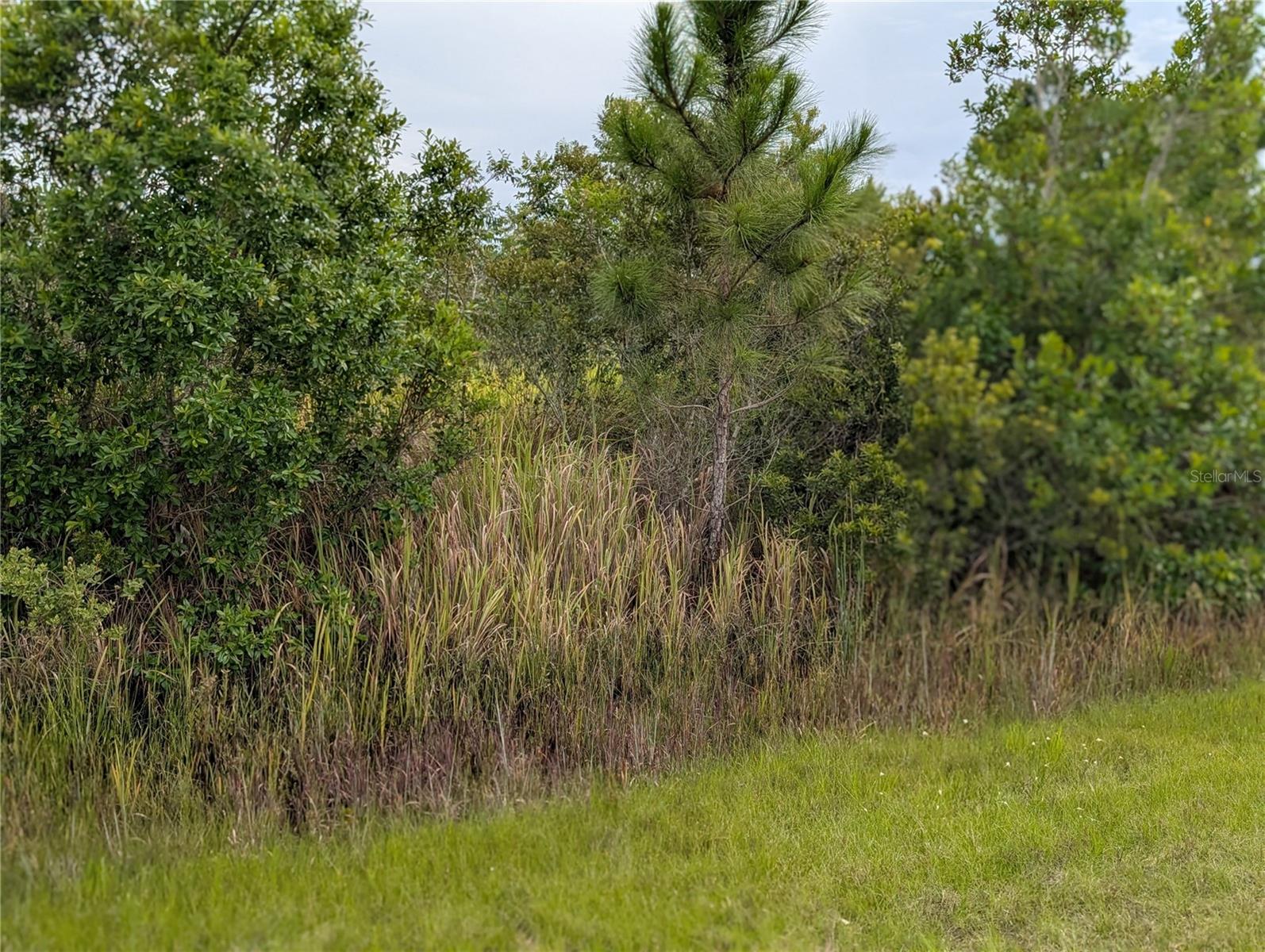 513 Calendula Drive, FL