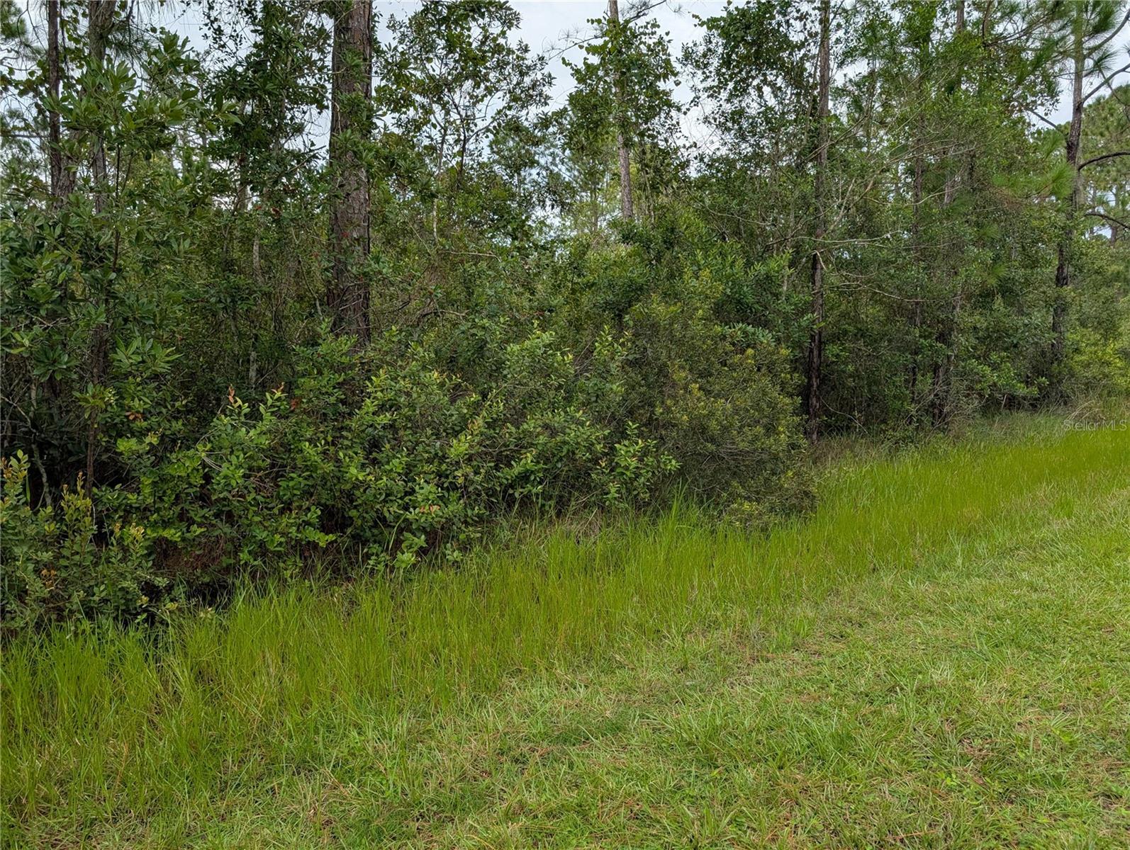 302 Pandora Drive, FL