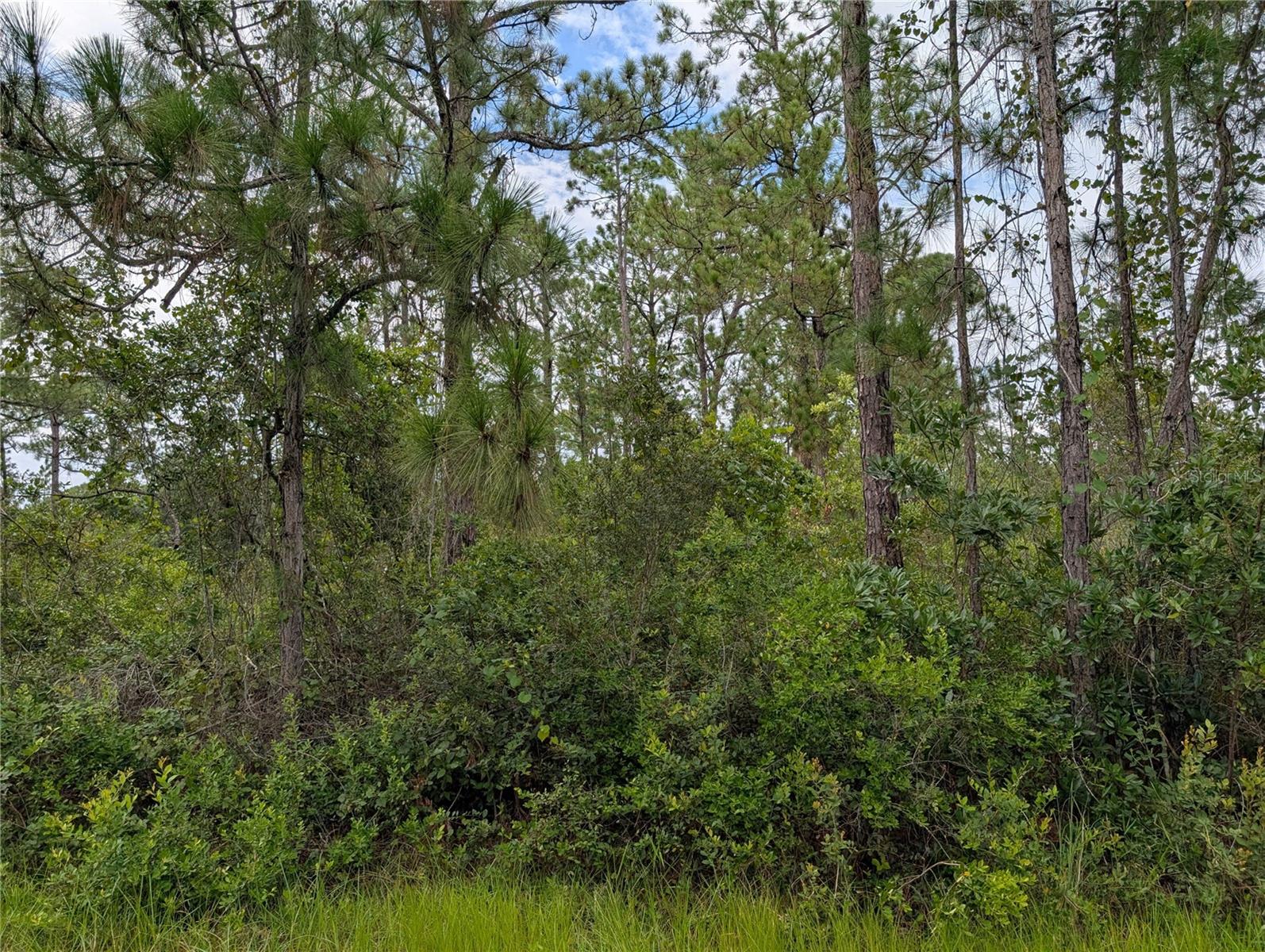 302 Pandora Drive, FL