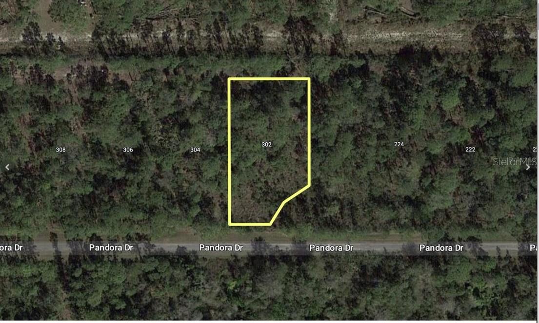 303 Japonica Avenue, FL