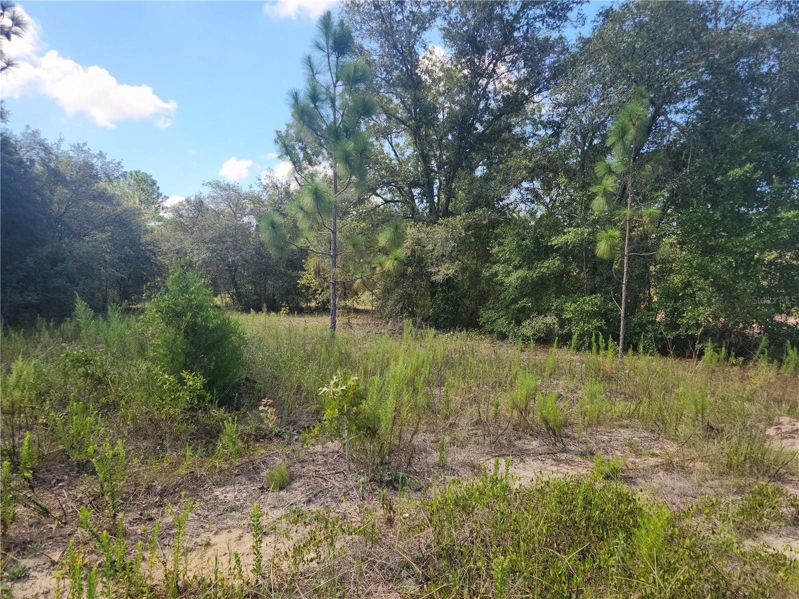 Lot 21 Rainbow Lakes Boulevard, FL