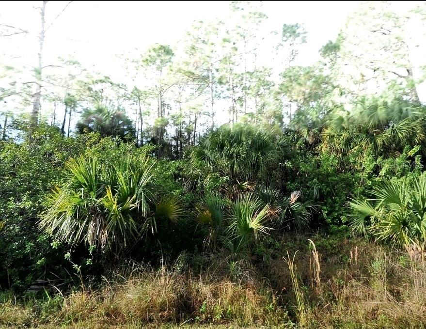 Blueleaf Drive, FL