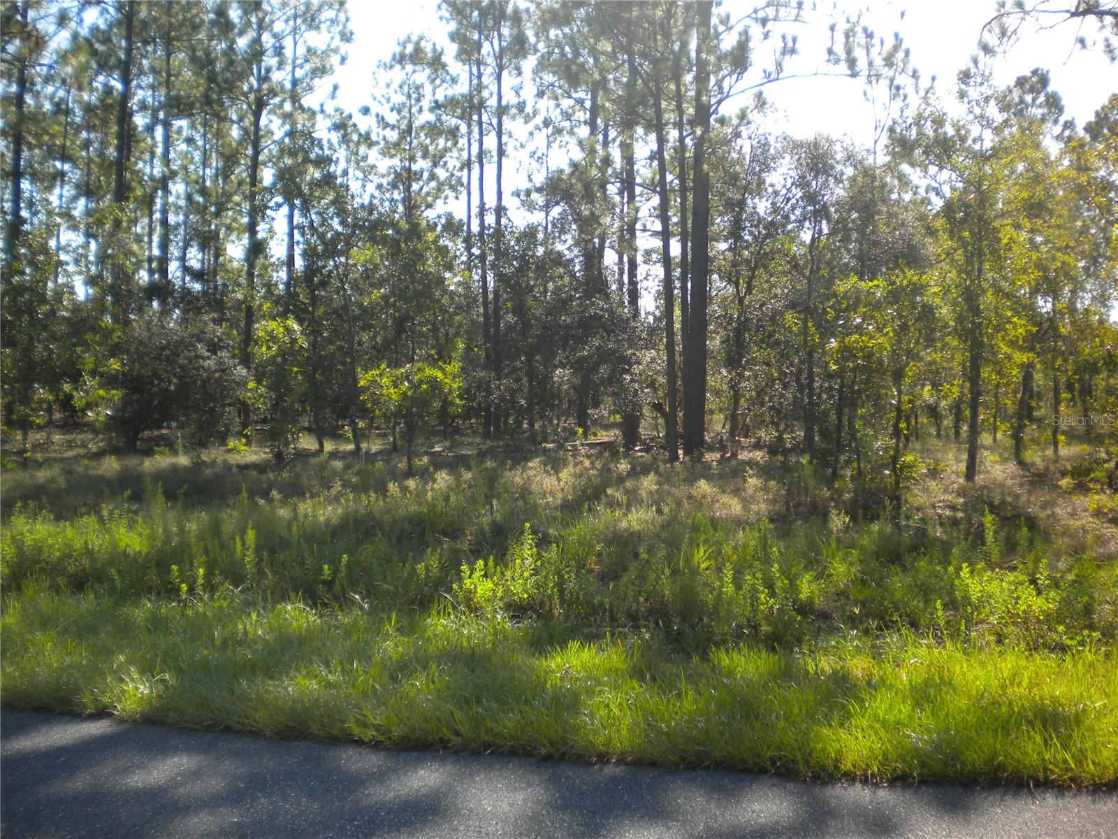 Lot14 136 Th Terrace, FL