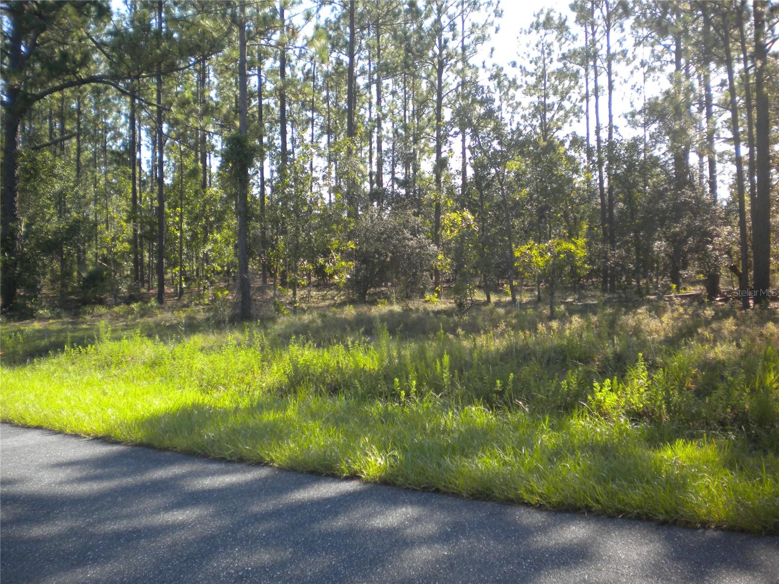 Lot14 136 Th Terrace, FL