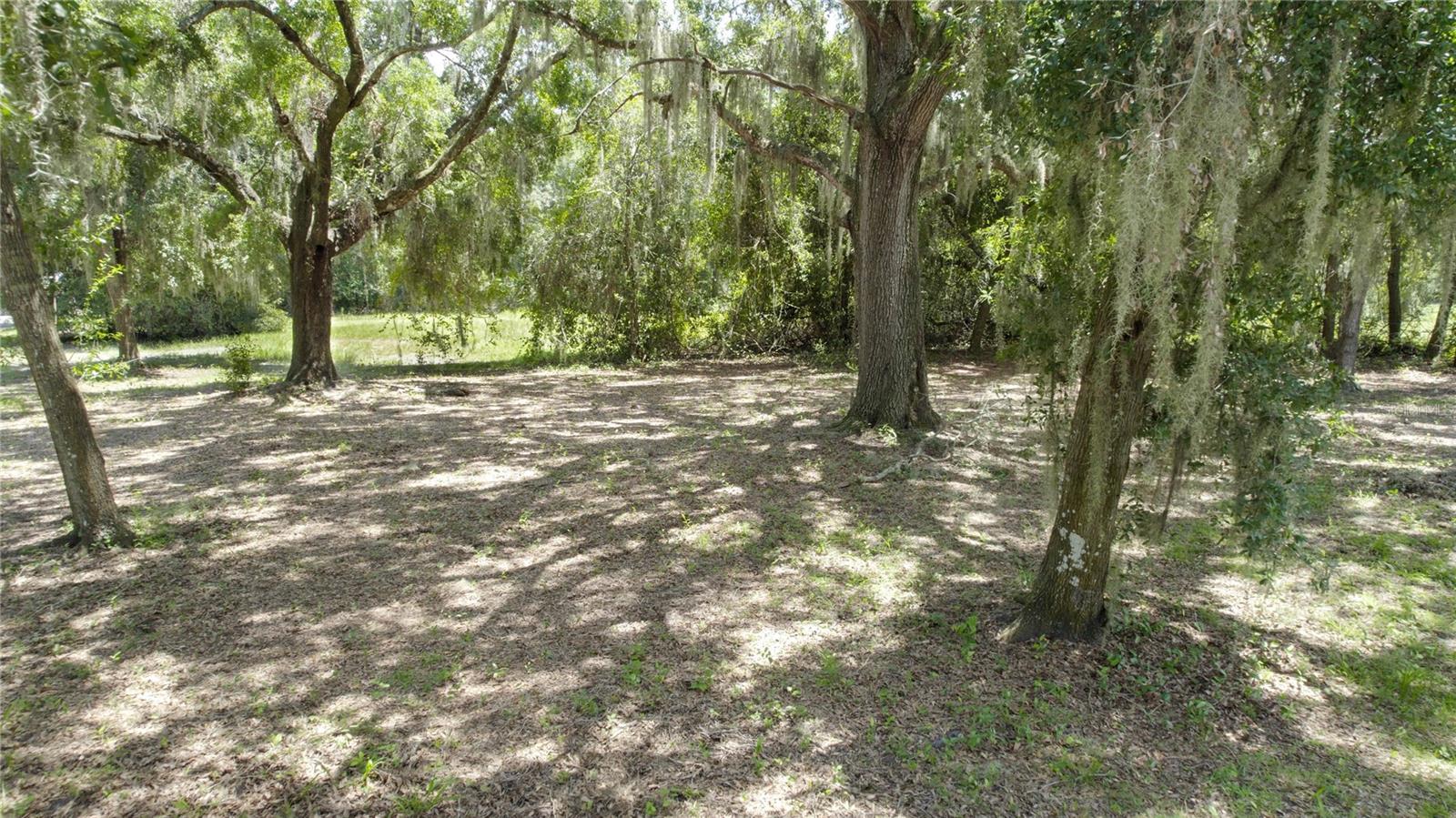 2951 Seminole Road, FL