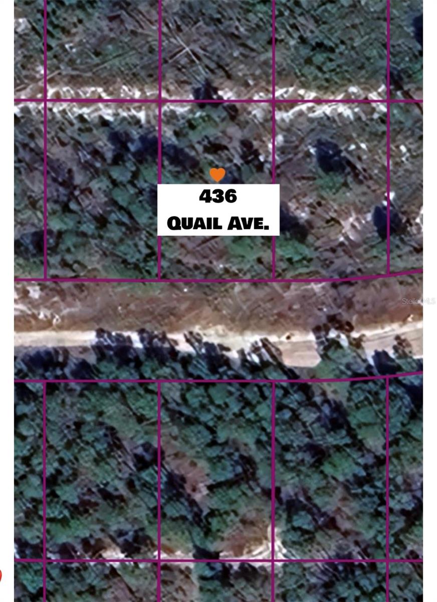 436 Quail Avenue, FL