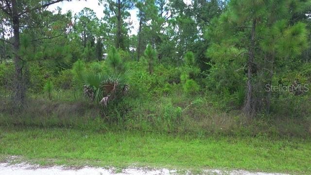 28072 Crestwood Drive, FL