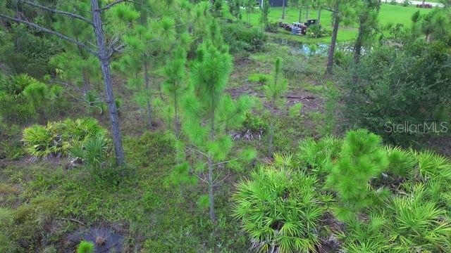 28072 Crestwood Drive, FL